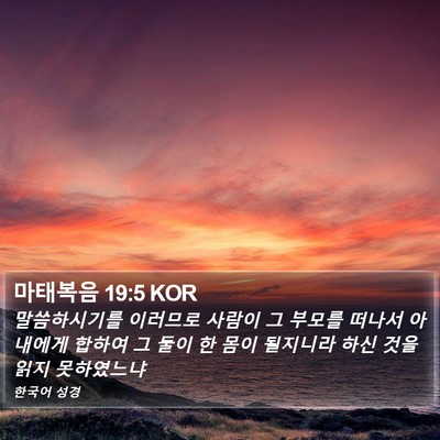 마태복음 19:5 KOR Bible Verse Image
