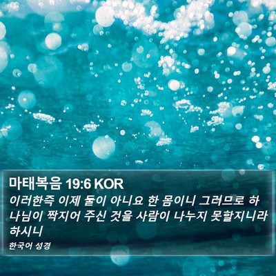 마태복음 19:6 KOR Bible Verse Image