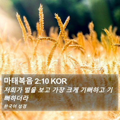 마태복음 2:10 KOR Bible Verse Image