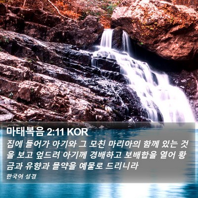 마태복음 2:11 KOR Bible Verse Image