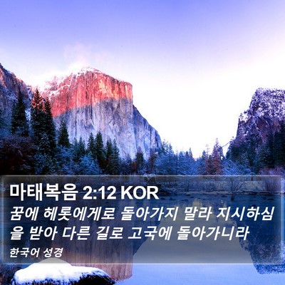 마태복음 2:12 KOR Bible Verse Image