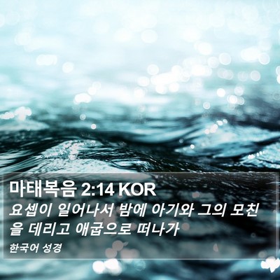 마태복음 2:14 KOR Bible Verse Image