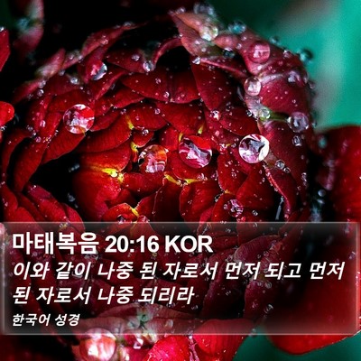 마태복음 20:16 KOR Bible Verse Image