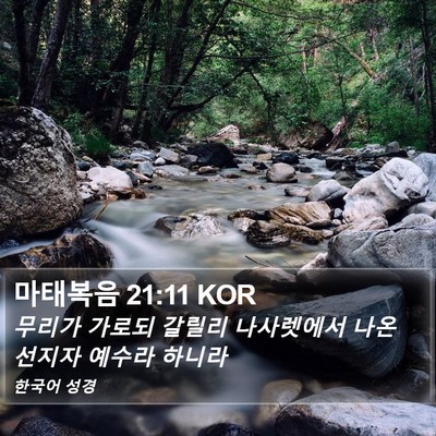 마태복음 21:11 KOR Bible Verse Image
