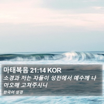 마태복음 21:14 KOR Bible Verse Image