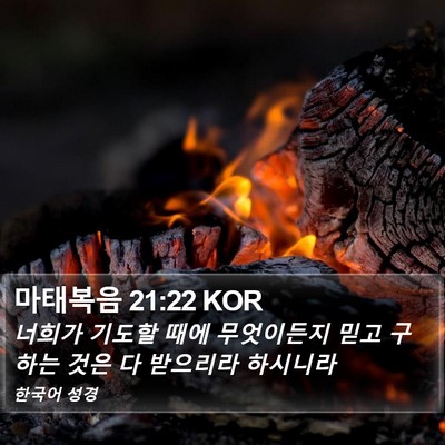 마태복음 21:22 KOR Bible Verse Image