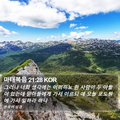 마태복음 21:28 KOR Bible Verse Image