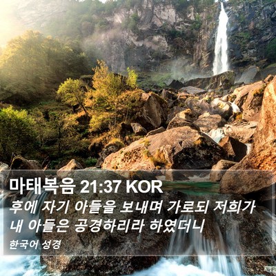 마태복음 21:37 KOR Bible Verse Image