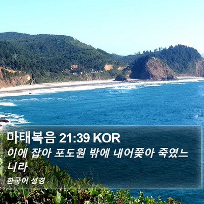마태복음 21:39 KOR Bible Verse Image