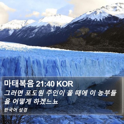 마태복음 21:40 KOR Bible Verse Image