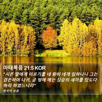 마태복음 21:5 KOR Bible Verse Image