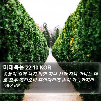 마태복음 22:10 KOR Bible Verse Image