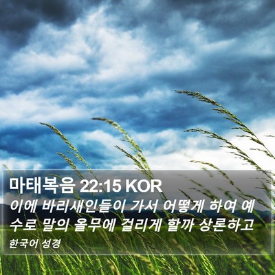 마태복음 22:15 KOR Bible Verse Image