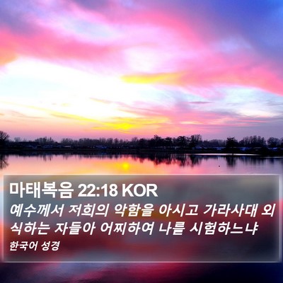 마태복음 22:18 KOR Bible Verse Image