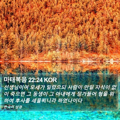 마태복음 22:24 KOR Bible Verse Image