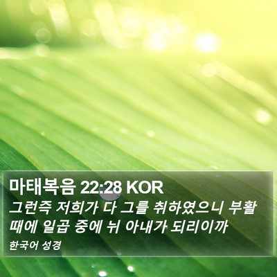마태복음 22:28 KOR Bible Verse Image