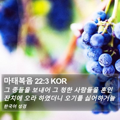 마태복음 22:3 KOR Bible Verse Image