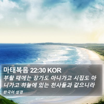 마태복음 22:30 KOR Bible Verse Image