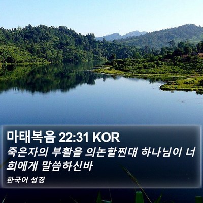 마태복음 22:31 KOR Bible Verse Image
