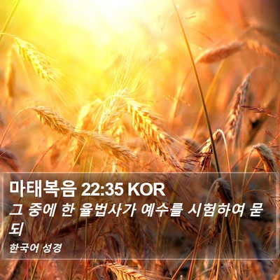 마태복음 22:35 KOR Bible Verse Image