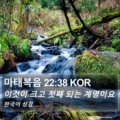 마태복음 22:38 KOR Bible Verse Image
