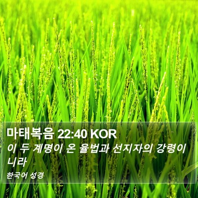 마태복음 22:40 KOR Bible Verse Image