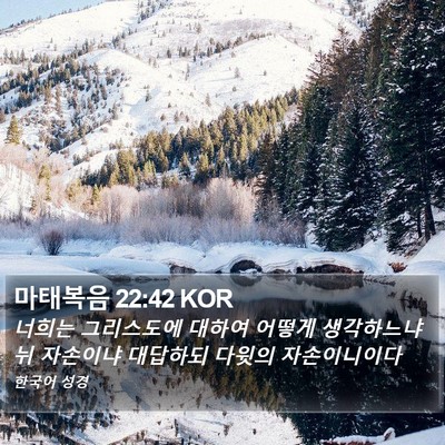 마태복음 22:42 KOR Bible Verse Image