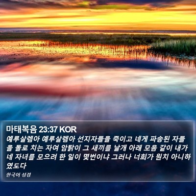 마태복음 23:37 KOR Bible Verse Image