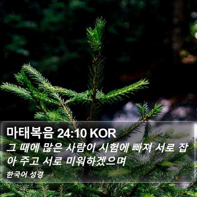 마태복음 24:10 KOR Bible Verse Image