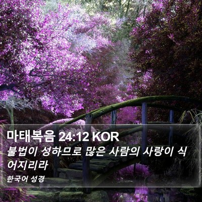 마태복음 24:12 KOR Bible Verse Image