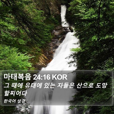 마태복음 24:16 KOR Bible Verse Image