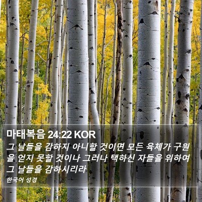 마태복음 24:22 KOR Bible Verse Image