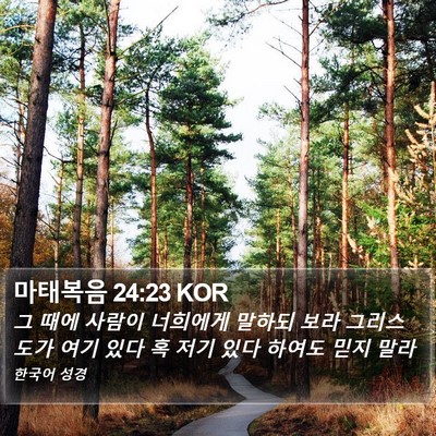 마태복음 24:23 KOR Bible Verse Image