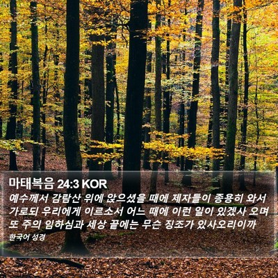 마태복음 24:3 KOR Bible Verse Image