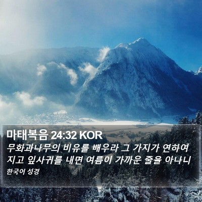 마태복음 24:32 KOR Bible Verse Image