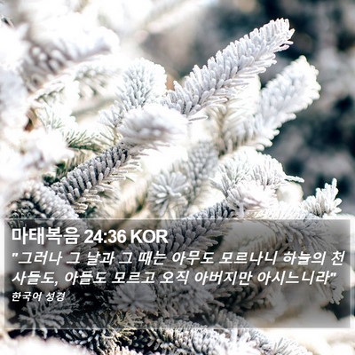 마태복음 24:36 KOR Bible Verse Image