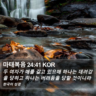 마태복음 24:41 KOR Bible Verse Image