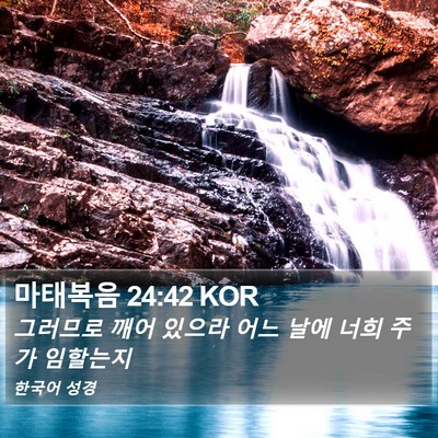 마태복음 24:42 KOR Bible Verse Image