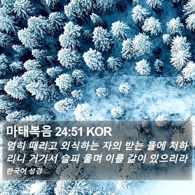 마태복음 24:51 KOR Bible Verse Image