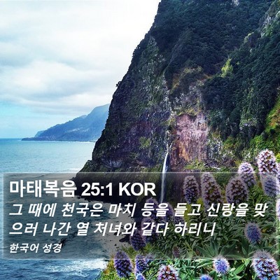 마태복음 25:1 KOR Bible Verse Image