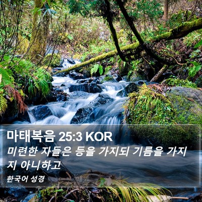 마태복음 25:3 KOR Bible Verse Image