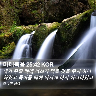 마태복음 25:42 KOR Bible Verse Image