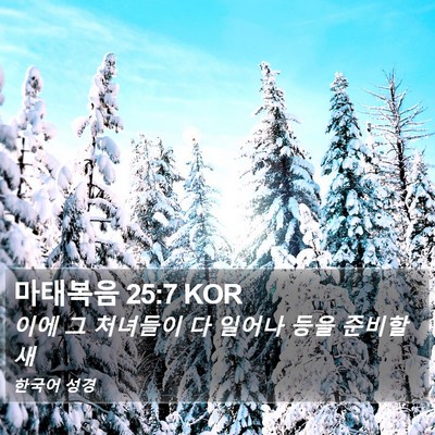 마태복음 25:7 KOR Bible Verse Image
