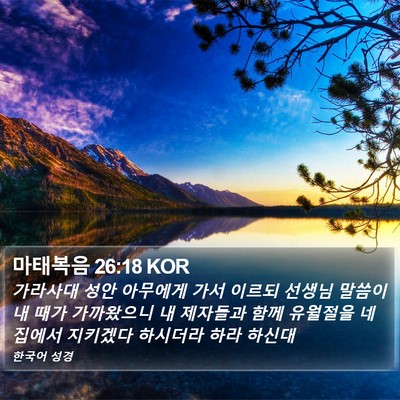 마태복음 26:18 KOR Bible Verse Image