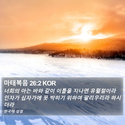 마태복음 26:2 KOR Bible Verse Image