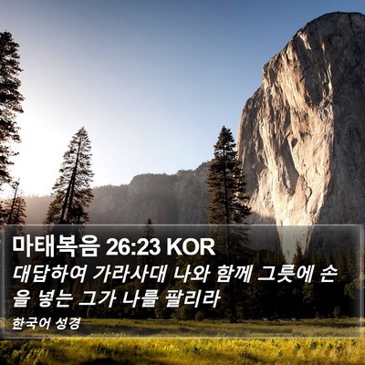 마태복음 26:23 KOR Bible Verse Image