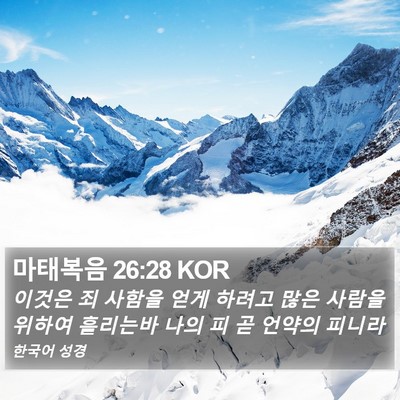 마태복음 26:28 KOR Bible Verse Image