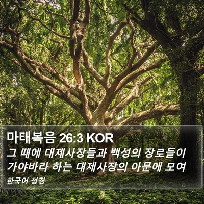 마태복음 26:3 KOR Bible Verse Image