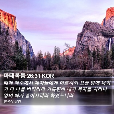 마태복음 26:31 KOR Bible Verse Image