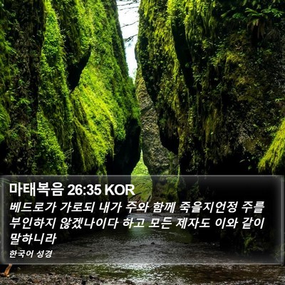 마태복음 26:35 KOR Bible Verse Image